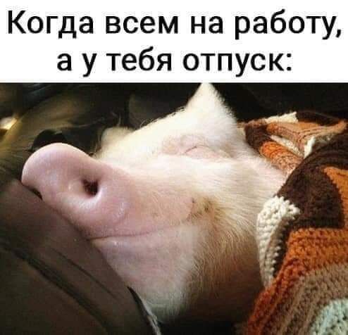 Когда всем на работу а у тебя отпуск