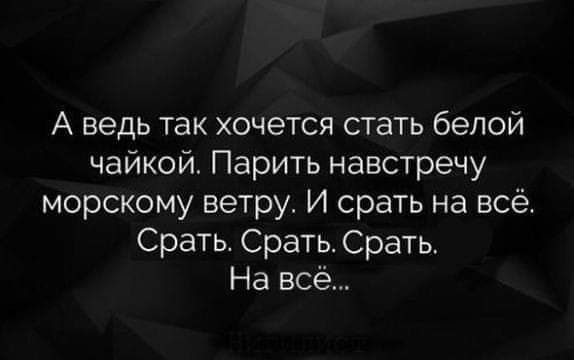 А ведь так хочется стать белой чайкой Парить навстречу морскому ветру И срать на всё Срать Срать Срать На всё