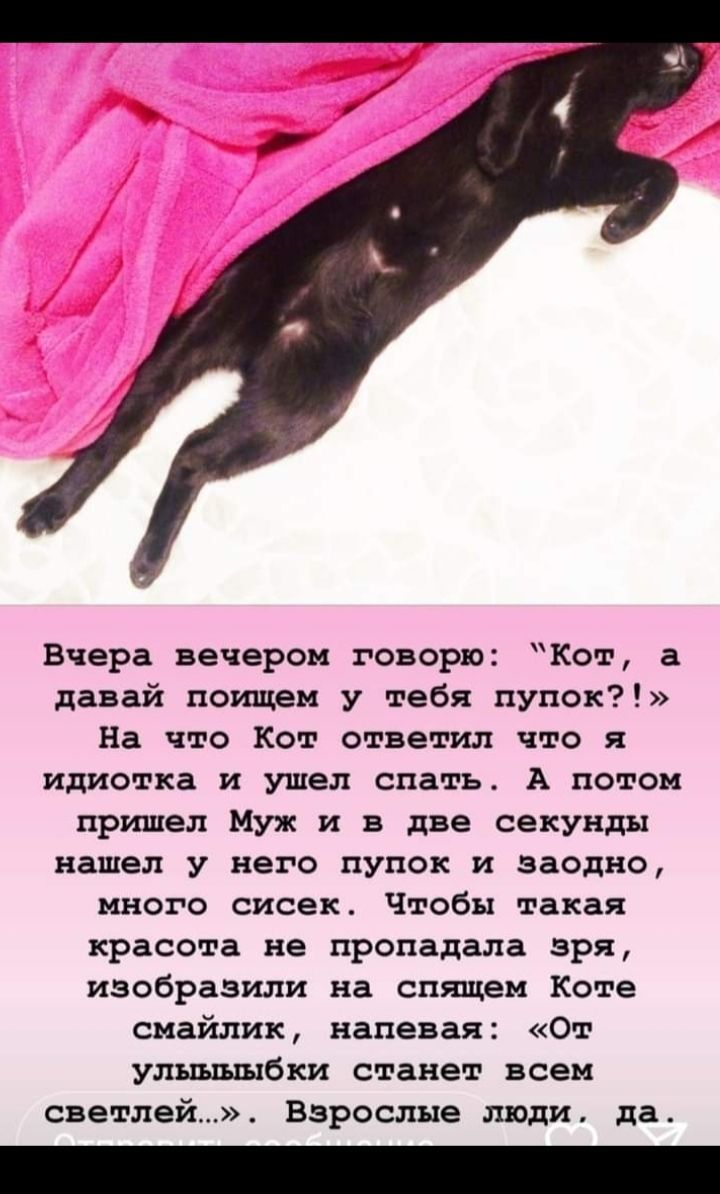 Вчера вечером говори Кот а давай поищем у тебя пупок На что Кот ответил что я идиотка И ушел спать А ПОТОМ пришел Муж и в две секунды нашел у него пупок и заодно МНОГО сисек Чтобы такая красота не пропадала зря изобразили на спящем Коте смайлик напевая От упьшъшбки станет всем светлей взрослые люди да