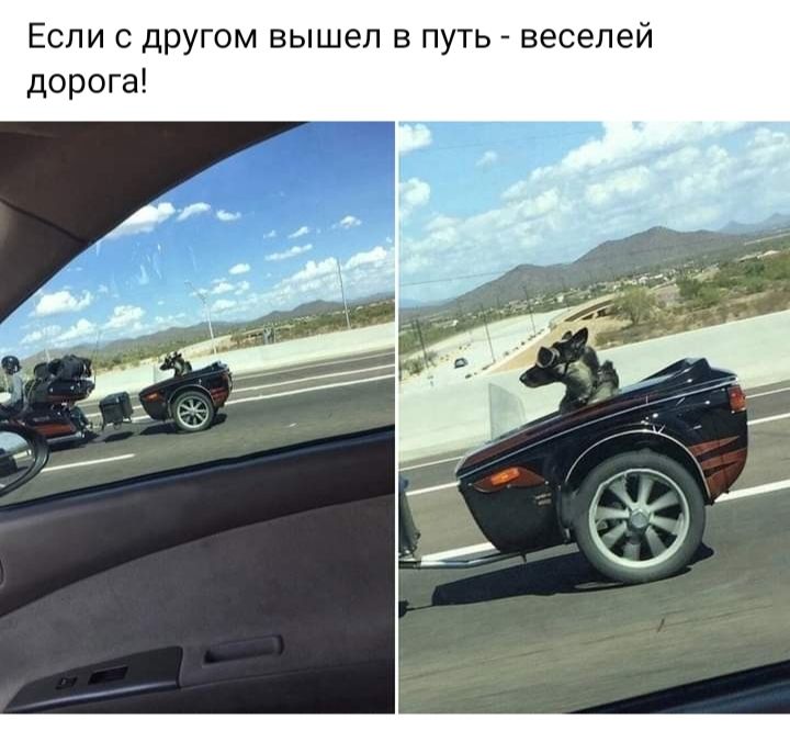 Если с другом вышел в путь веселей дорога