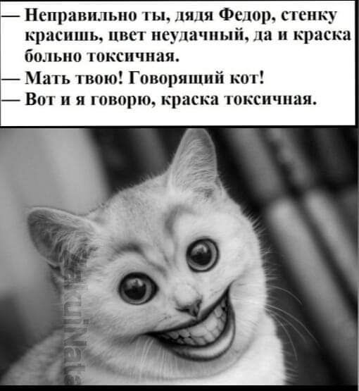 Неправильно пы и Фсюр Пшку красишь пис ие интим кр больно пикси шая _ Мать вою Гипприпшй кш В и я творю краска юк пчпаи