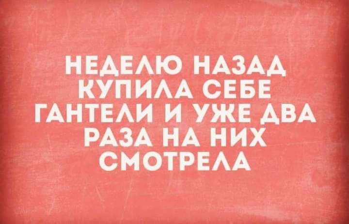 КУПИМ И тт ИА НИХ СНФТПЕМ