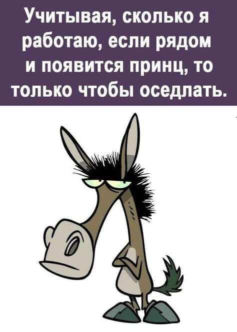 Учитывая сколько я работаю если рядом и появится принц то только чтобы оседлать