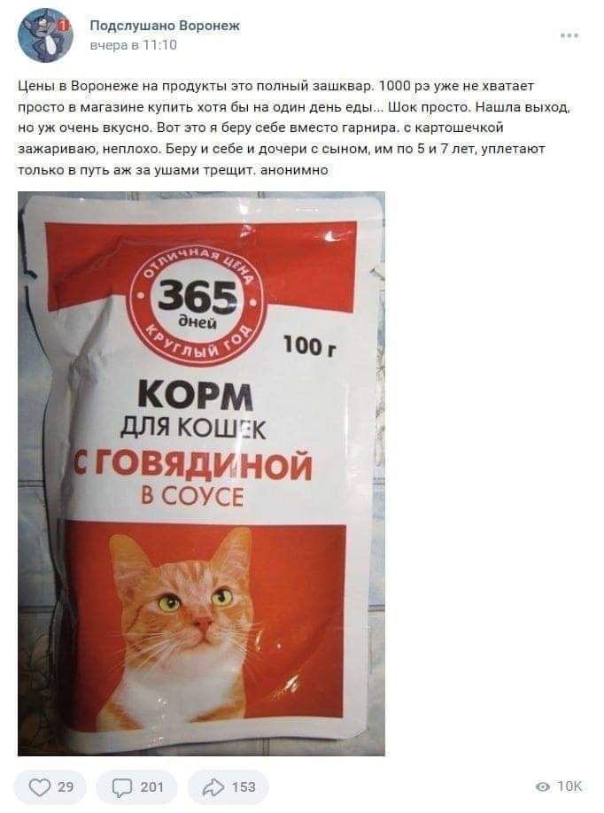 мм ц ч щ ппппуиты шт прес магииие к 5 и щ Вп Вегу в нместгіпииря и кар Бепчисейвиппчиписсыипм там ни ум ю