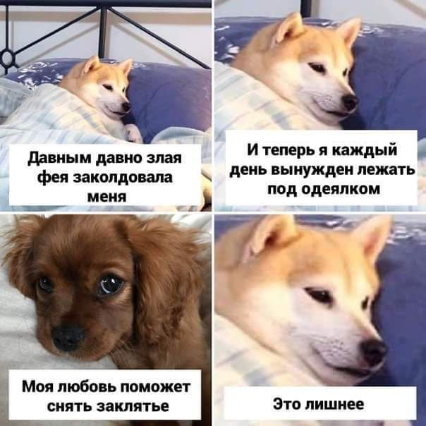 и теперь квжднй день пыиуждеи пенять под пдеяпипм данным да ио шип фея заколдовал __ _ мнил Моя любовь ппмвжп закинь это лишнее
