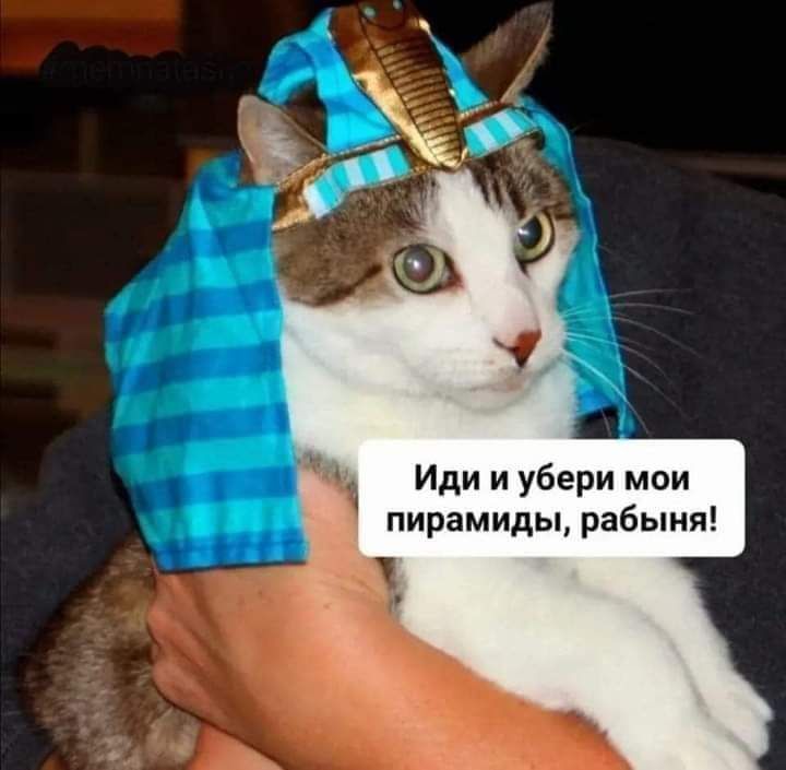 Иди и убери мои пирамиды рабыня