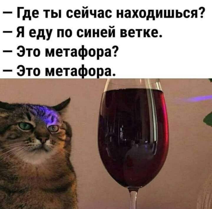 Где ты сейчас находишься Я еду по синей ветке Это метафора Это мета о а