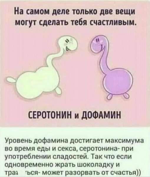 На самом деле только две вещи могут сделать тебя счастливым 9 о СЕРОТОНИН и дОФАМИН Уровень дофамина достигает максимума во время еды и секса серотоиииа при употреблении сладостей Так что если одновременно жрать шоколадку и трат ься может разорвать от счастья