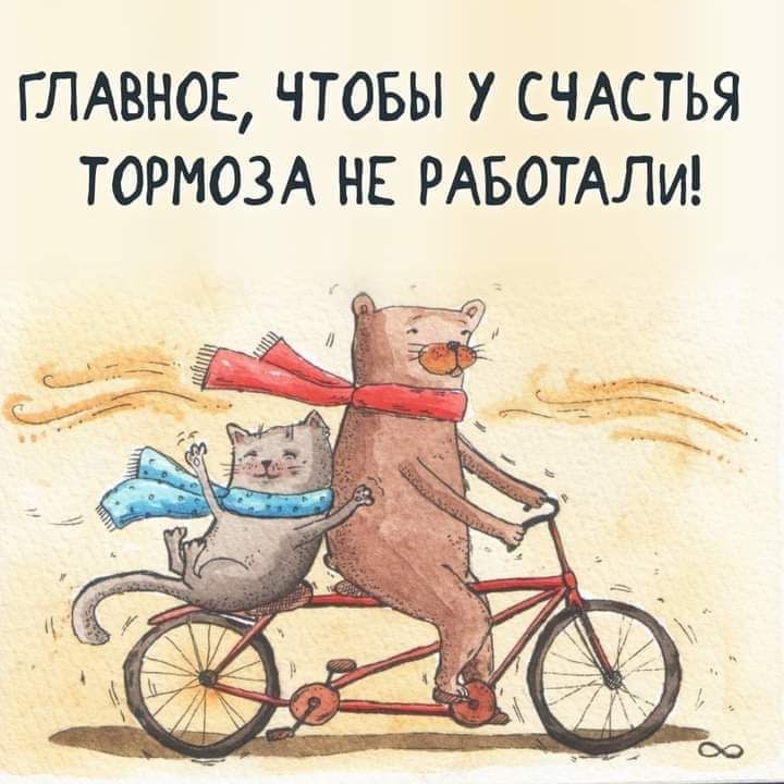 ГЛАВНОЕ ЧТОБЫ У СЧАСТЬЯ ТОРМОЗА НЕ РАБОТАЛИ