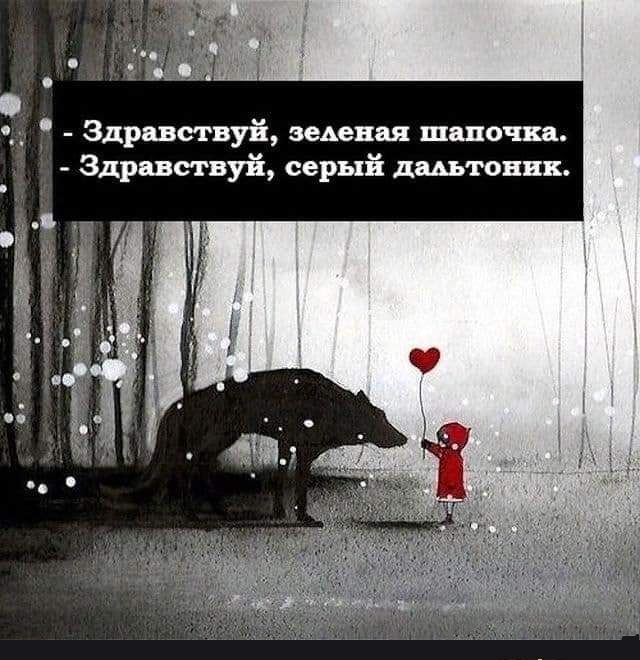 Здравствуй ведения щшочкв Здравствуй серый дштонвк