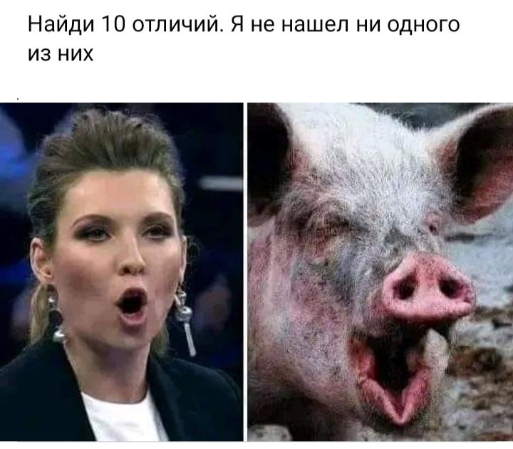 Найди 10 отличий Я не нашел ни одного из НИХ