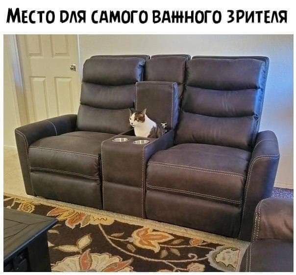 МЕСТО ОЛЯ САМОГО ВдНОГО ЗРИТЕЛЯ