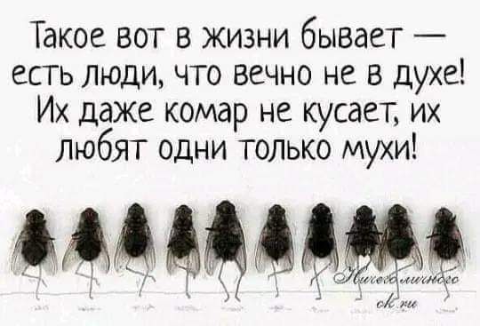 Такое вот в жизни бывает есть люди что вечно не в духе Их даже комар не кусает их Любят одни только мухи имама