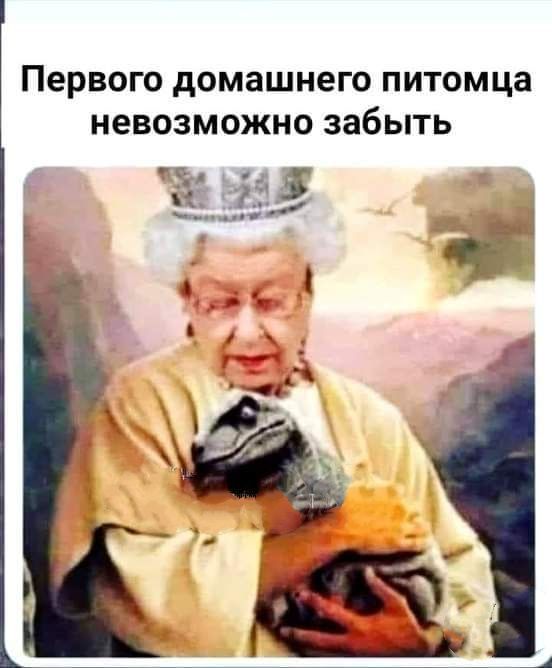 Первого дОМЗШНОГО ПИТОМЦЗ НЕВОЗМОЖНО забыть 95
