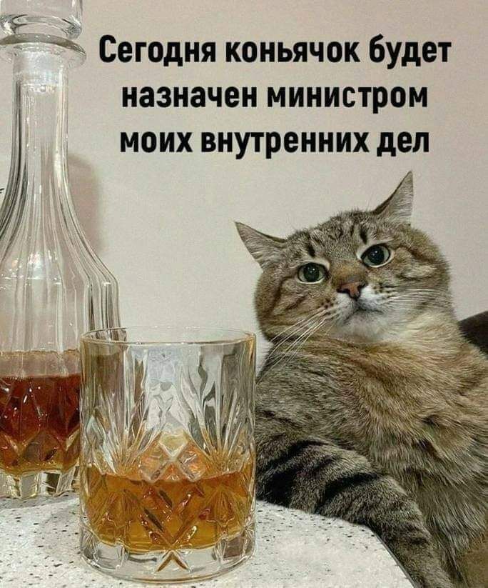 Ё Сегодня коньячок Будет назначен министром МОИХ ВНУТРЕННИХ дел