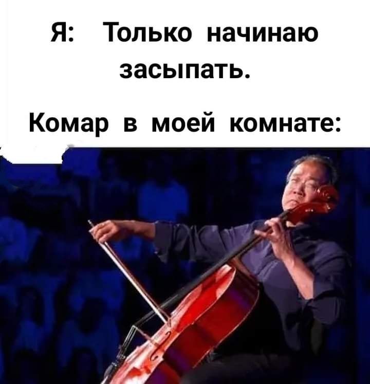 Я Только начинаю засыпать Комар в моей комнате