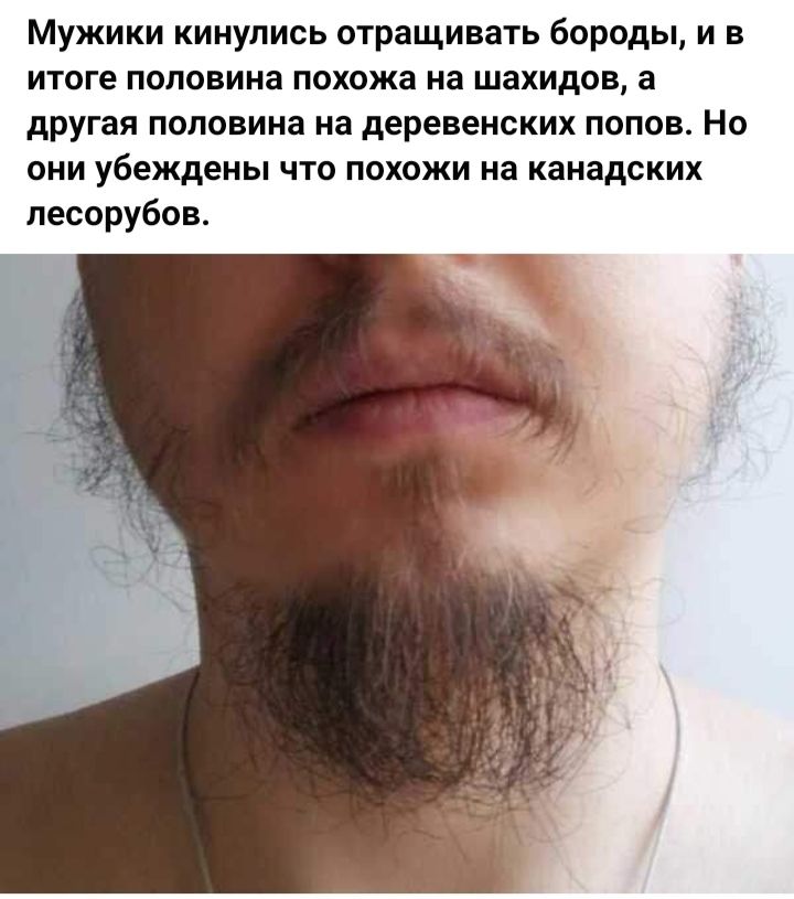 Мужики кинулись отращивать бороды и в итоге половина похожа на шахидов а другая половина на деревенских попов Но они убеждены что похожи на канадских песорубав