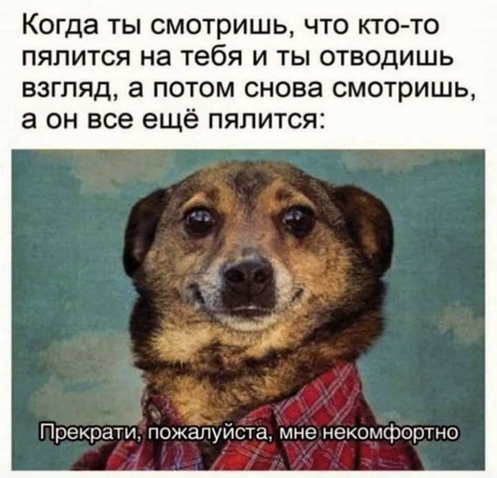 Когда ты смотришь что кто то пялится на тебя и ты отводишь взгляд а потом снова смотришь а он все ещё пялится Прекрати Пожапуицтн мне некоюшно