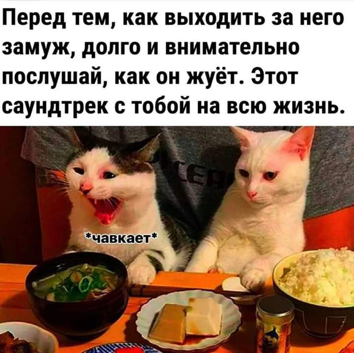 Перед тем как выходить за него замуж долго и внимательно послушай как он жуёт Этот саундтрек с тобой на всю жизнь у