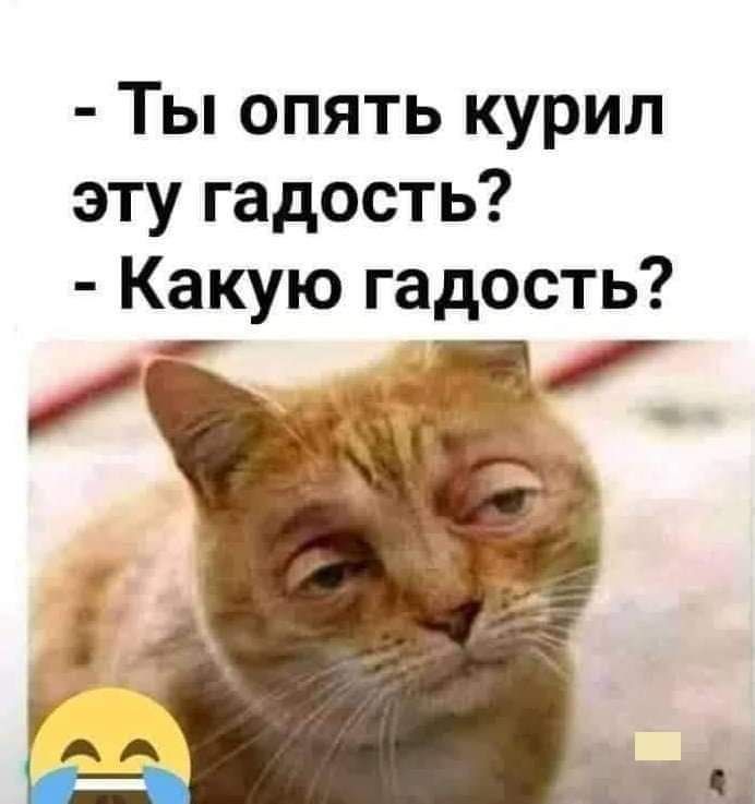 Ты опять курил эту гадость Какую гадость