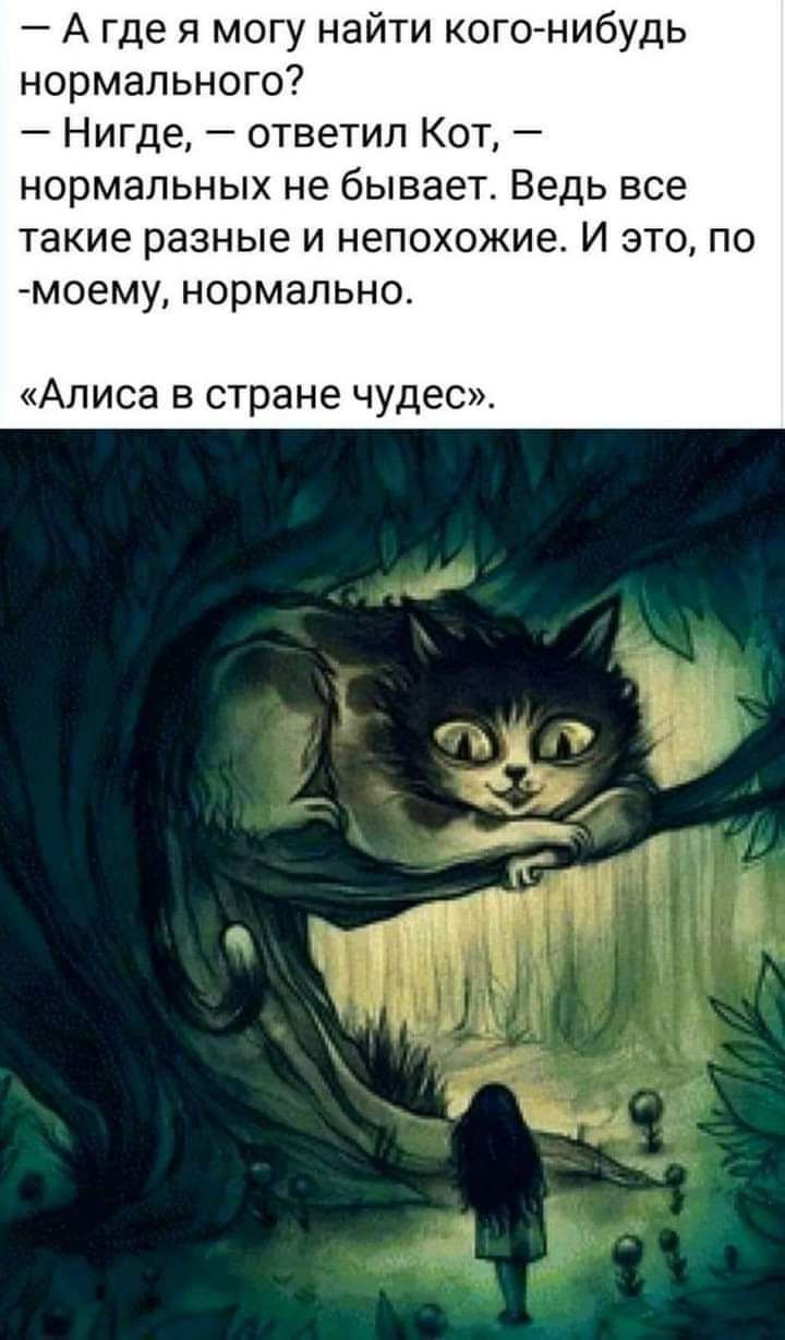 Отвечающий кот