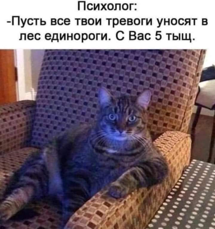 Психолог Пусть все твои тревоги уносят в лес единороги С Вас 5 тыщ