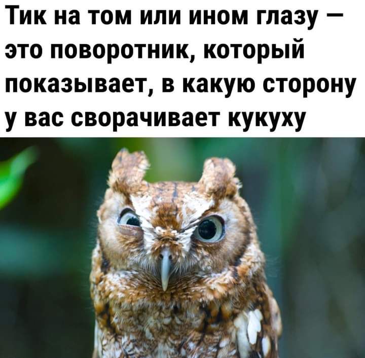 Тик на том или ином глазу это поворотник который показывает в какую сторону у вас сворачивает кукуху