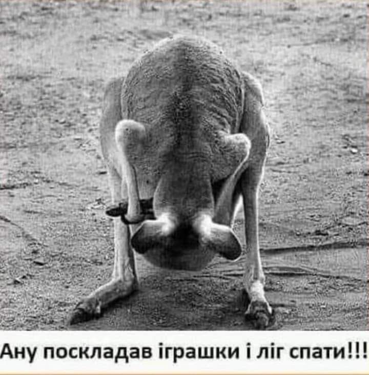 Ану поскпадав іграшки іліг спати
