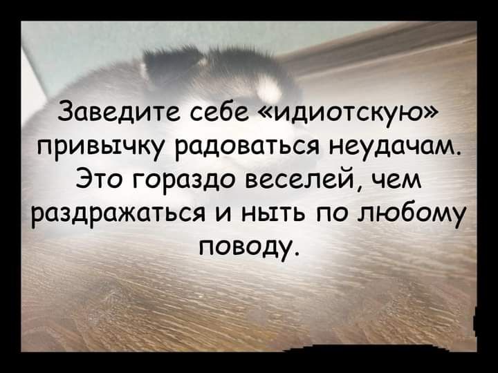 с Заведите себе идиотскую привычку радоваться неудачам Это гораздо веселей чем раздражаться и ныть по любому поводу