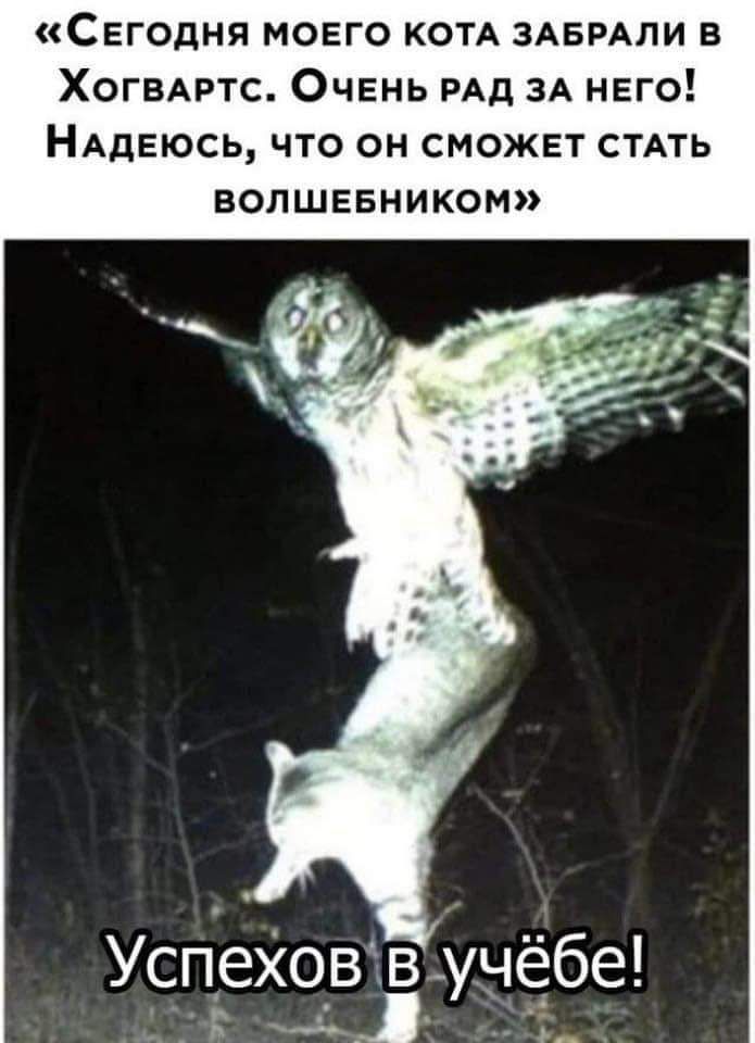 Сегодня моего КОТА зАеРАли в ХОГВАРТС Очень РАД ЗА него НАдеюсь что он сможет стдть вопшевником УспеХовёв учёбе К