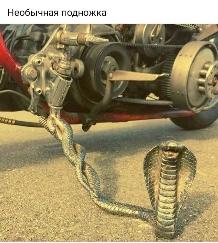 Необычная подножка