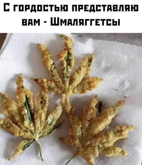 ГПРдППТЬШ ПРЕДПТПШШШ ВАМ ШММПГГЕТБЫ