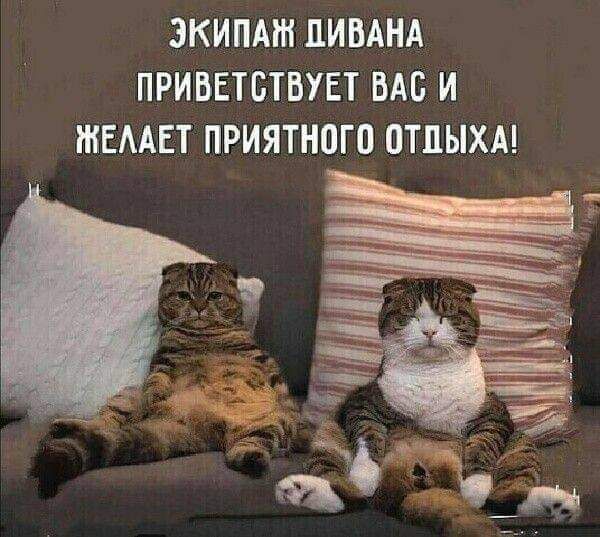 ЭКИПАШ ПИБАНА ПРИБЕТБТБУЕТ БАБ И ЖЕААЕТ ПРИЯТНОГО ПТЦЫХА