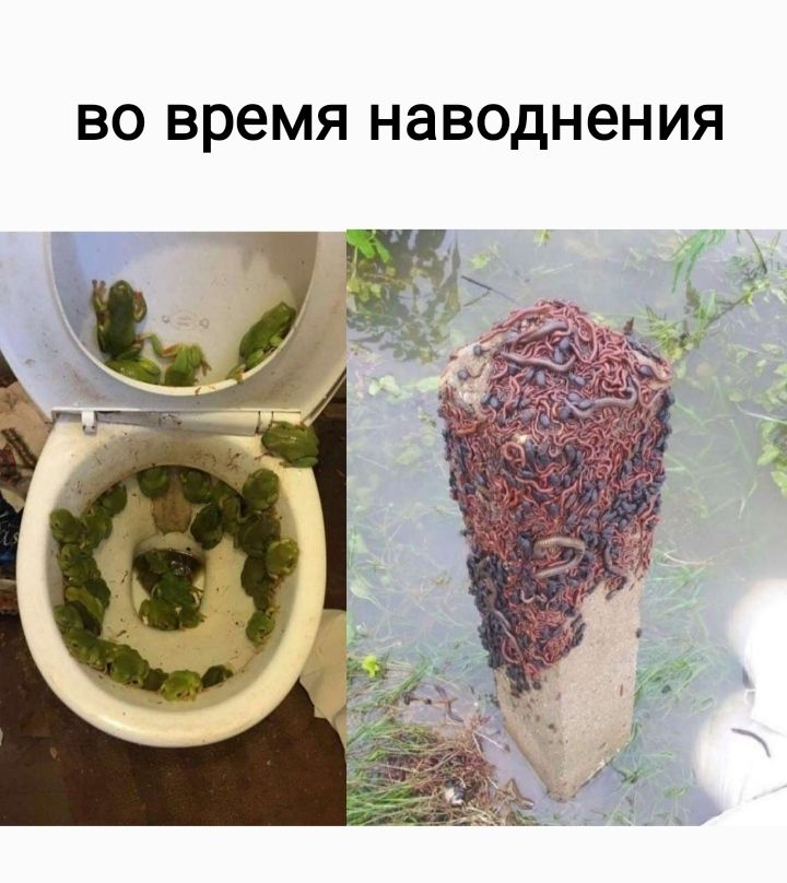 ВО время НЗВОДНЗНИЯ