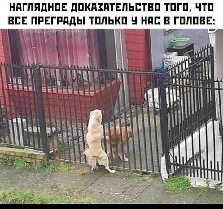 НПГППДНПЕ дПКПЗПТЕПЬЕТВП ТПГП ЧТП ВБ ПРЕГРПДЫ ТПЛЬКП НПБ Е ГПЛПВЕ