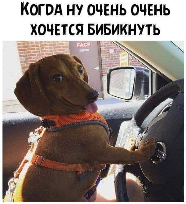 КОГОА Н ОЧЕНЬ ОЧЕНЬ ХОЧЕТСЯ БИБИКНПЬ