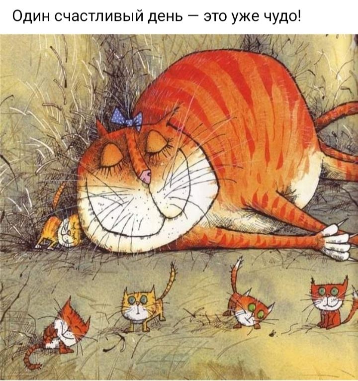 Один счастливый день это уже чуд Еч