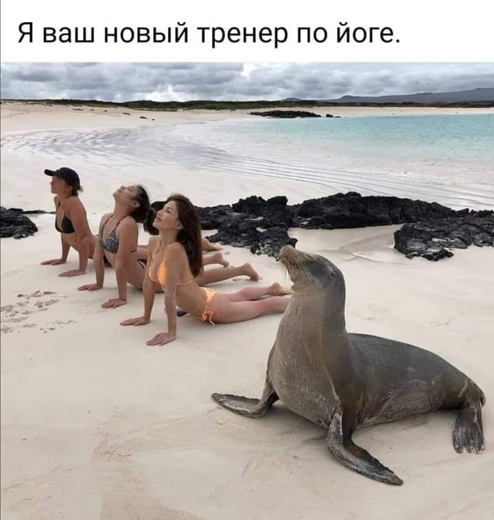 Я ваш новый тренер по йоге