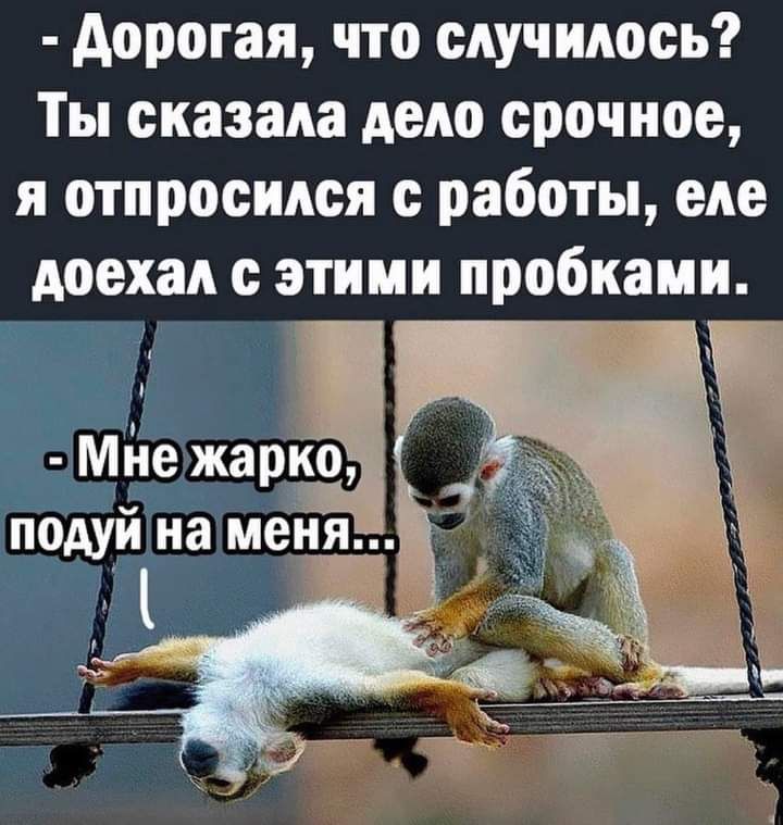 Аорогая что случилось Ты сказала дело срочное я отпросидся работы еде доехал этими пробками мйе жарко подуй на меня