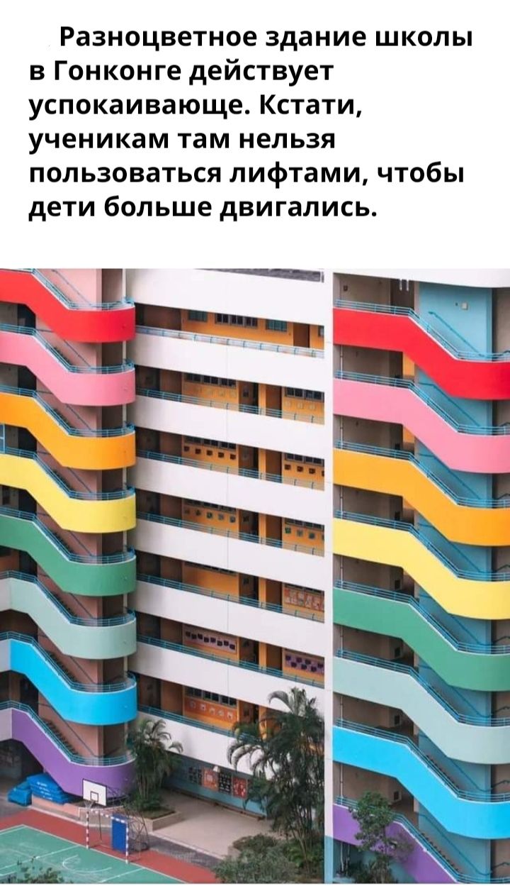 Разноцветное здание школы в Гонконге действует успокаивающе Кстати ученикам там нельзя пользоваться лифтами чтобы дети больше двигались
