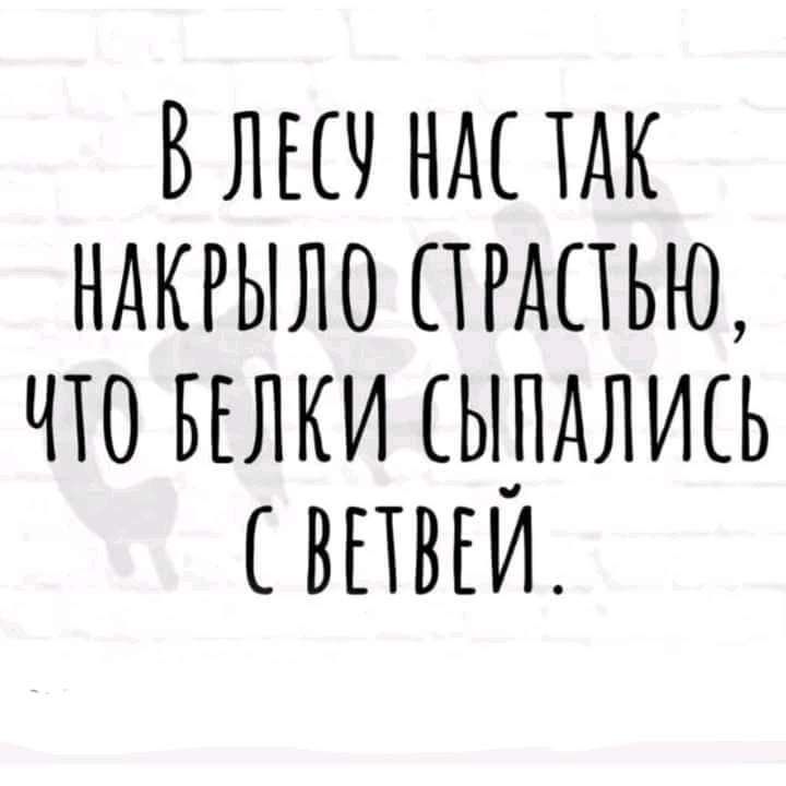 ВЛЕШ НАС ТАК НАКРЫЛО ПРАПЬЮ ЧТО БЕЛКИ ЫПАЛШЬ ВПВЕИ