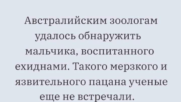 Австралийским зоологам удалось обнаружить мальчика ВОСПИТЗННОГО ехиднами ТНКОГО МЭРЗКОГО И ЯЗВИТВЛЬНОГО пацана ученые еще не встречали
