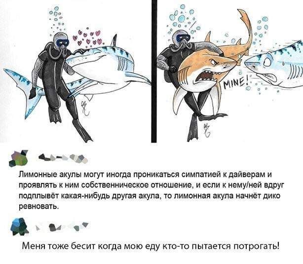 ча Лимиты могу иивгда пииикпми симпатий кийивш и пил сиБсчиимчески и если ну щРУг тпппыит пни Ибудъ пит тв питии акул начни рнипщь и Мени гоже бест когда мо еду почто пьпаекя пираты
