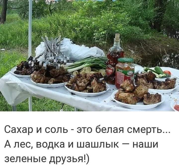 Сахар и соль это белая смерть А лес водка и шашлык наши зеленые друзья