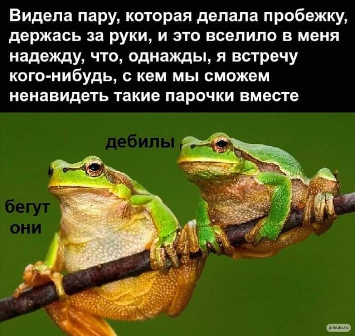 Видела пару которая делала пробежку держась за руки и это всепипо в меня надежду что однажды я встречу кого нибудь кем мы сможем ненавидеть такие парочки вместе