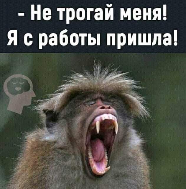 Не трогай меня я с работы пришла