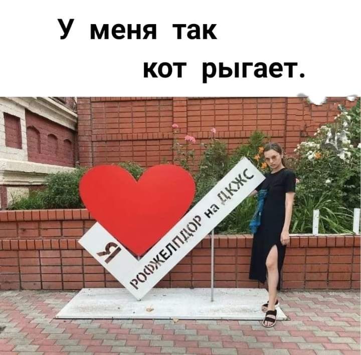 У меня так кот рыгает