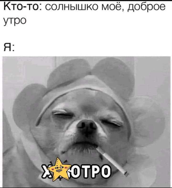 Кто то солнышко моё доброе