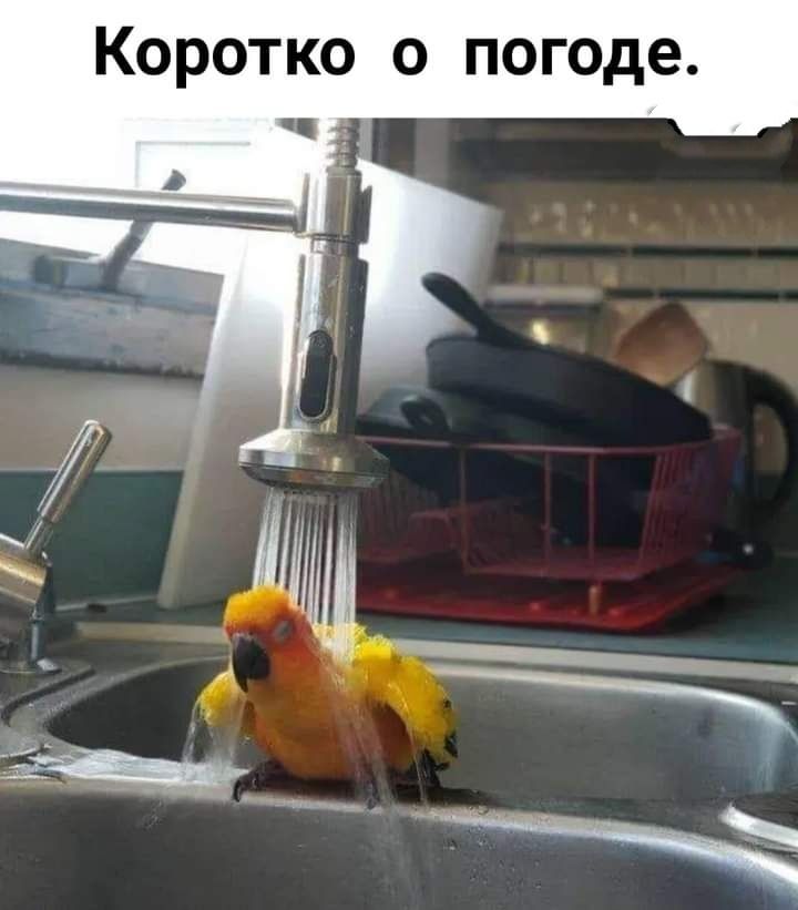 Коротко о погоде