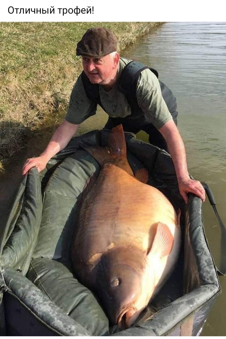 Отличный трофей